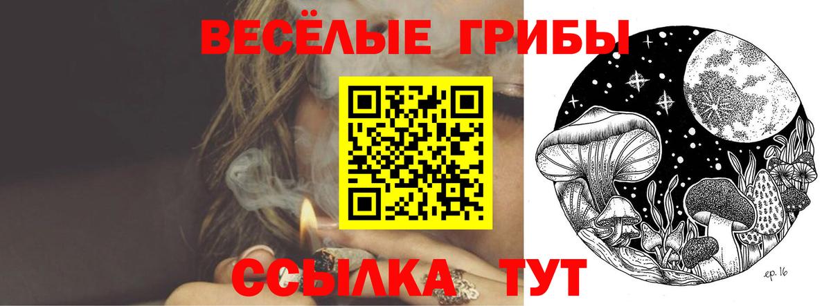 Галлюциногенные грибы Psilocybe Всеволожск