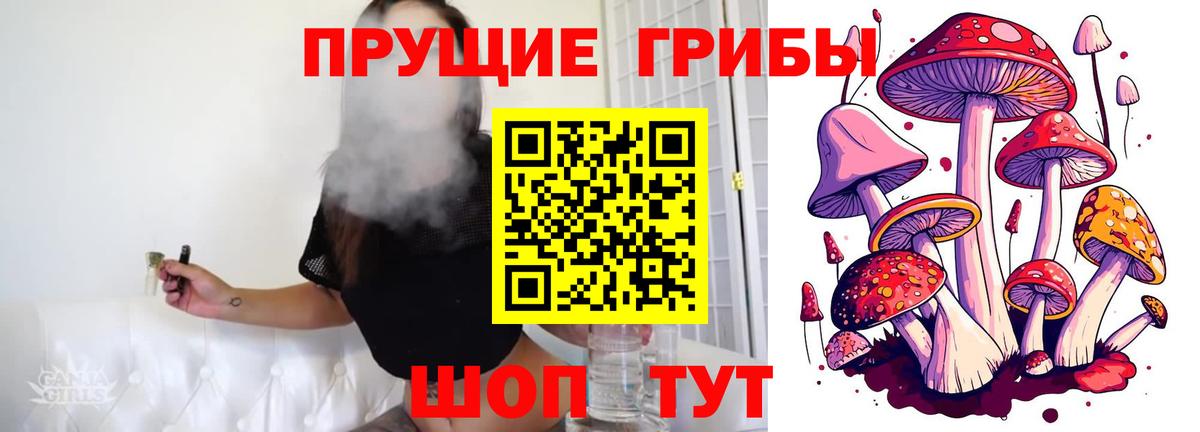 Всеволожск  Галлюциногенные грибы Psilocybe  Вход с VPN  Галлюциногенные грибы Psilocybe 